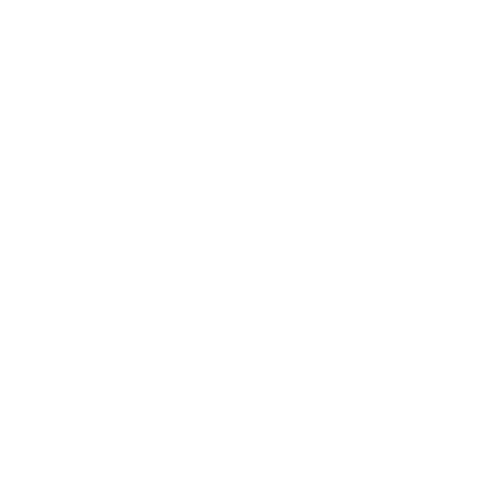Aquila Logo White Large